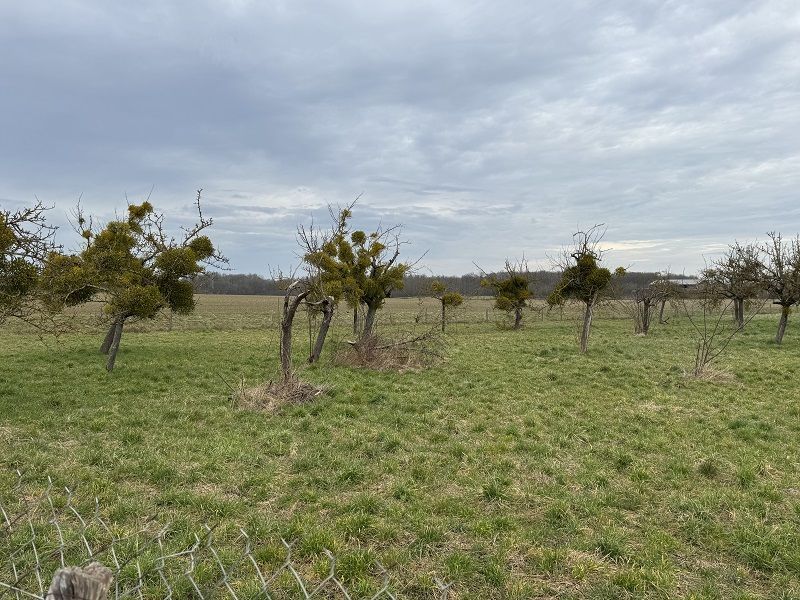 Image du modèle de maison IMG_6829-Copie