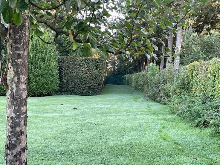 Image du terrain Terrain à bâtir de 330 m² à BREVAL (78)