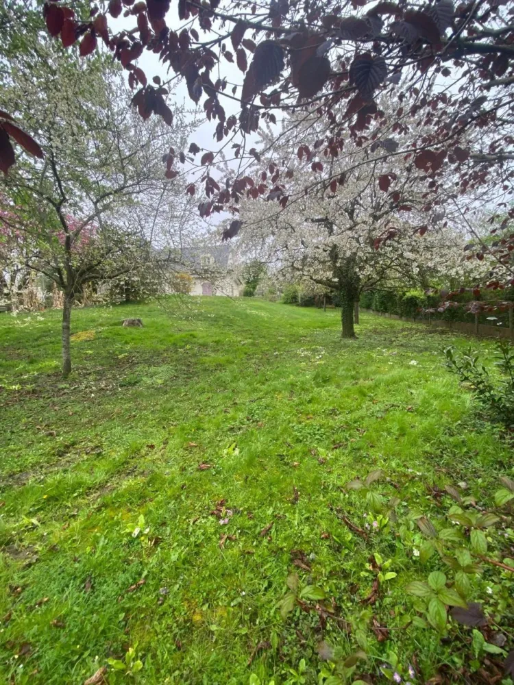 Image du modèle de maison 4