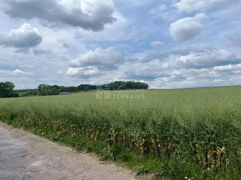 Image du modèle de maison 1