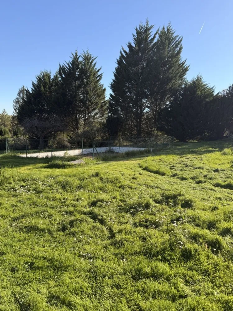 Image du modèle de maison IMG_1960 - Grande