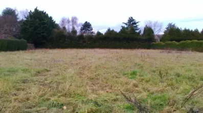 Image du modèle de maison terrain (5)