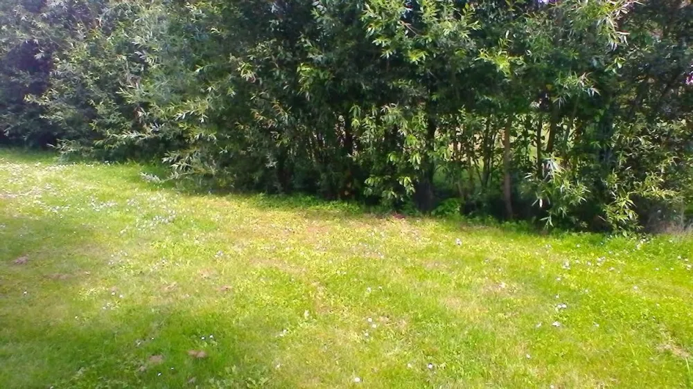 Image du modèle de maison terrain (7)