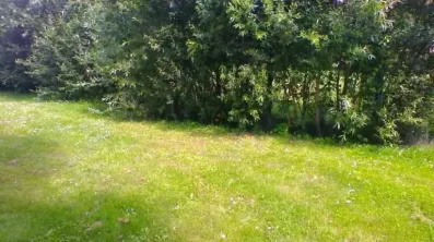 Image du modèle de maison terrain (7)