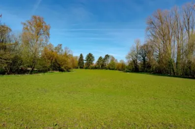 Image du modèle de maison terrain6