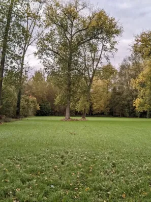 Image du modèle de maison terrain7