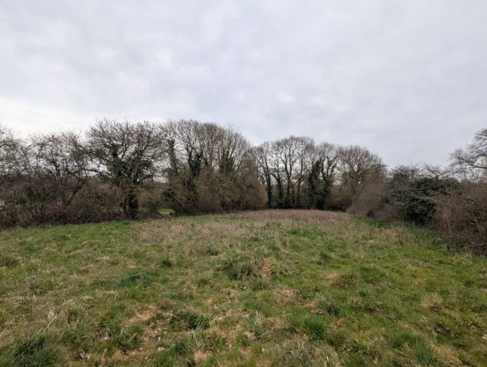 Image du modèle de maison cbdb62cc-af61-41cd-bec5-15d37ef28212