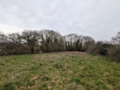 Image du modèle de maison cbdb62cc-af61-41cd-bec5-15d37ef28212