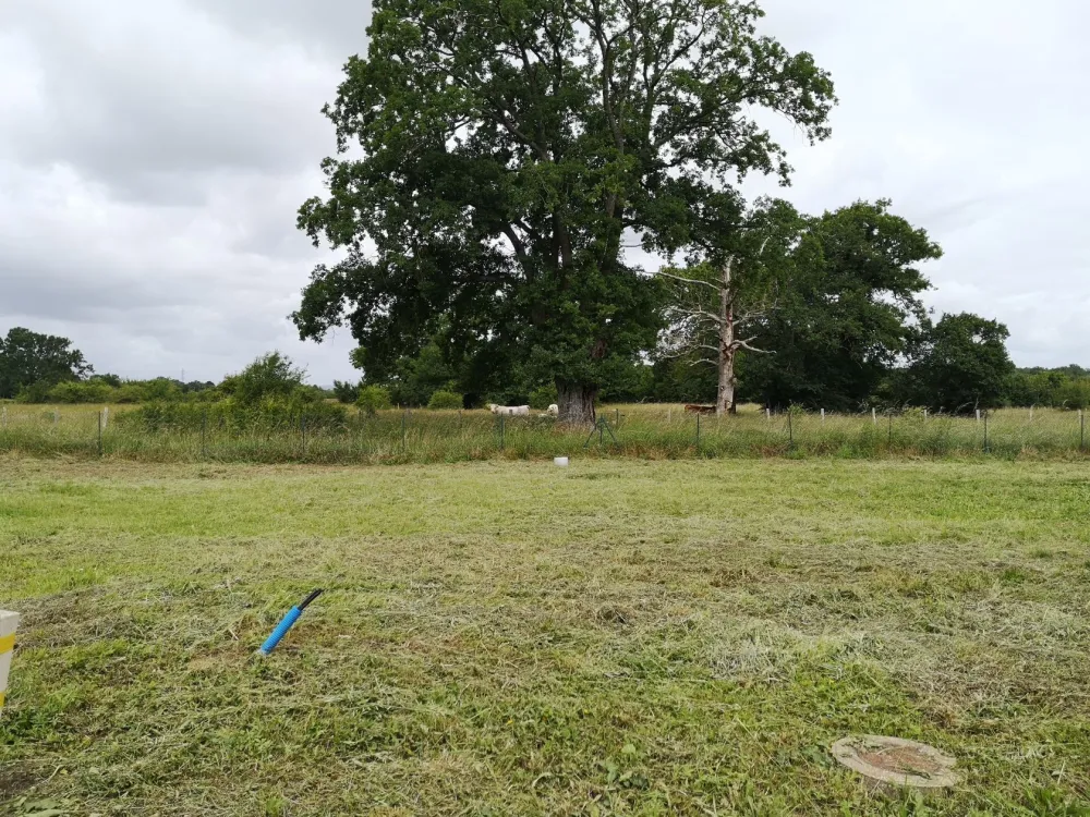 Image du modèle de maison IMG_20220609_123314