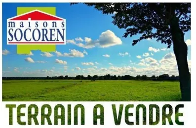 Image du modèle de maison Affichage terrain com