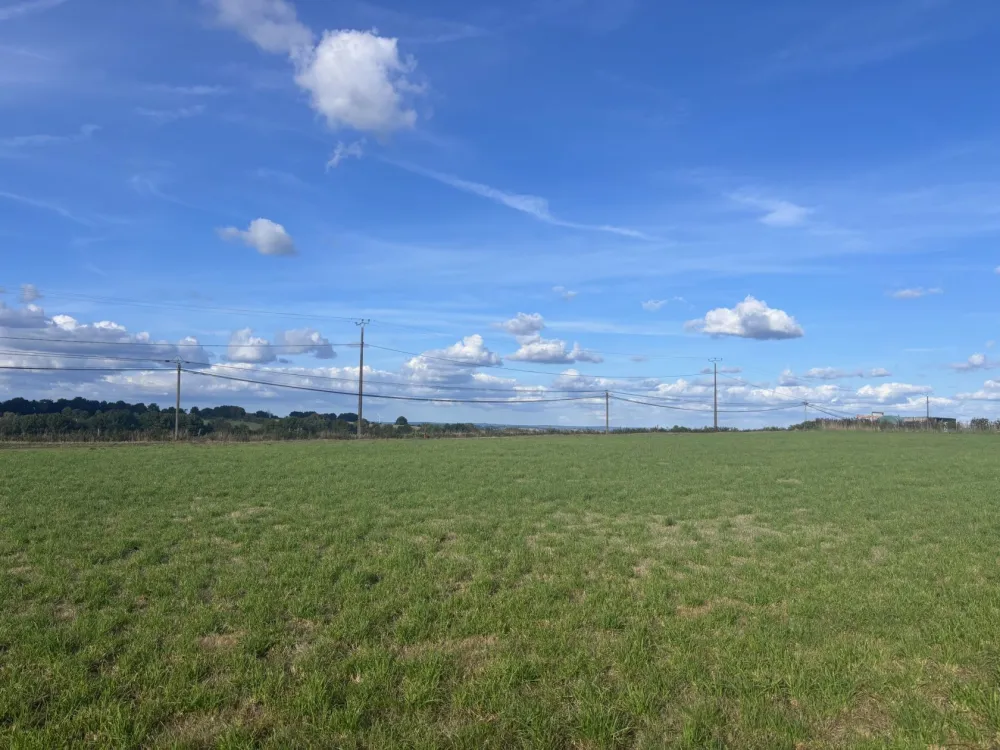 Image du terrain Terrain à bâtir de 2132 m² à TINCHEBRAY (61)