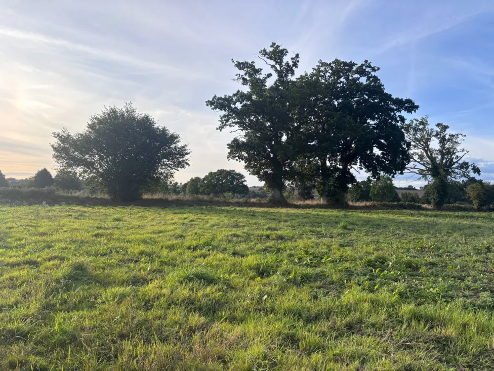 Image du terrain Terrain à bâtir de 670 m² à FRENES (61)