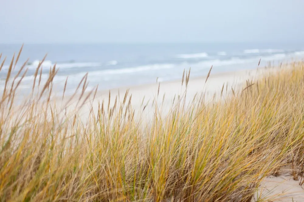 Image du modèle de maison plage 2