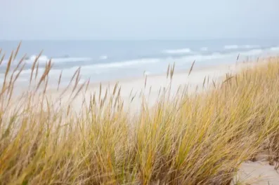 Image du modèle de maison plage 2