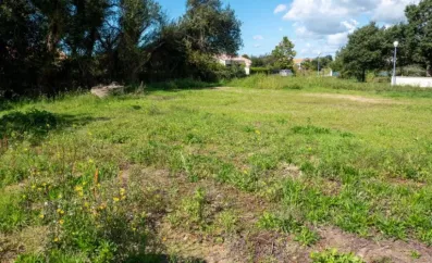 Image du modèle de maison LOT 1