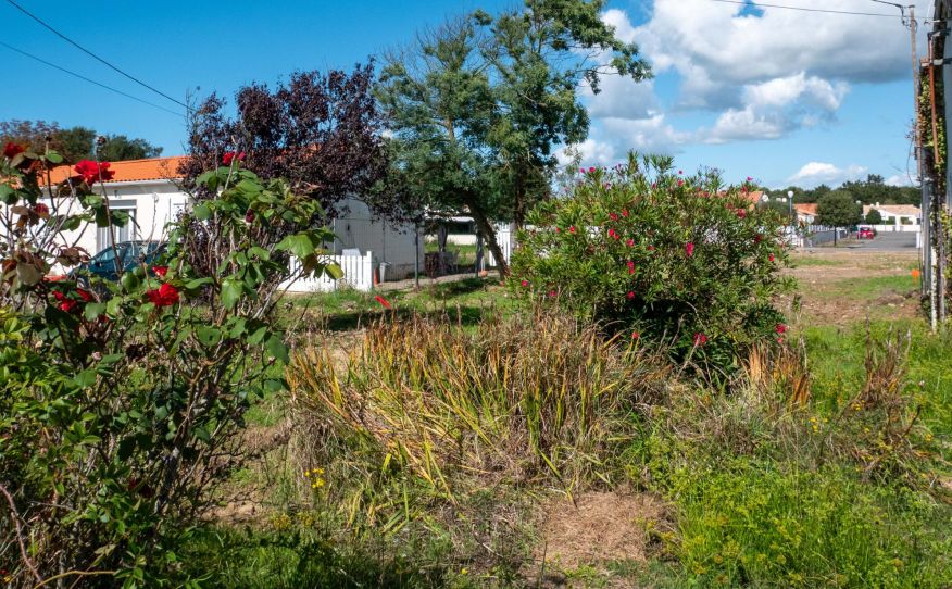 Image du modèle de maison LOT 6