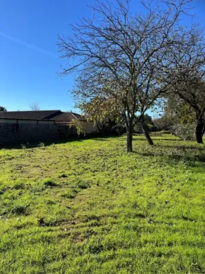 Image du modèle de maison 1