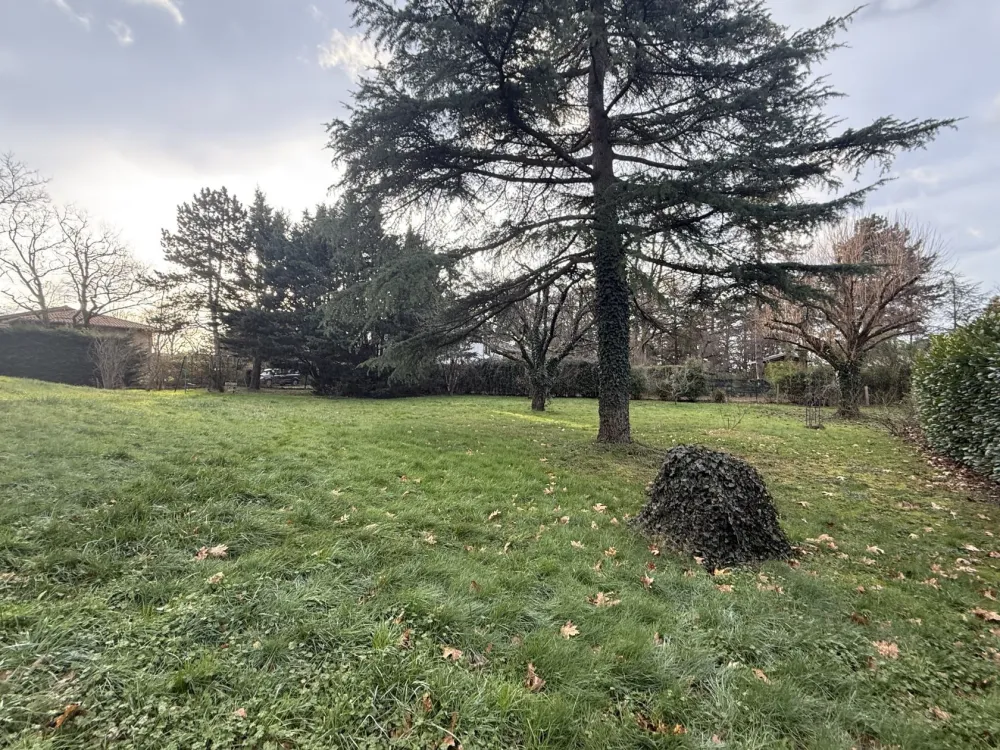 Image du modèle de maison IMG_2439