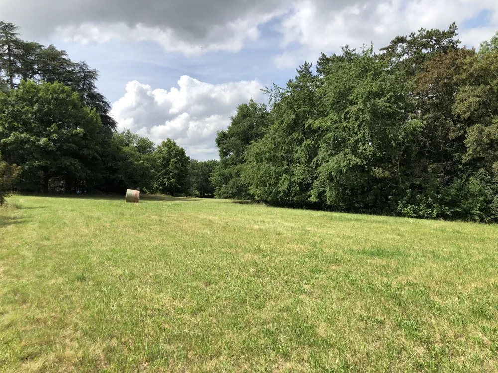 Image du modèle de maison Environnement 2