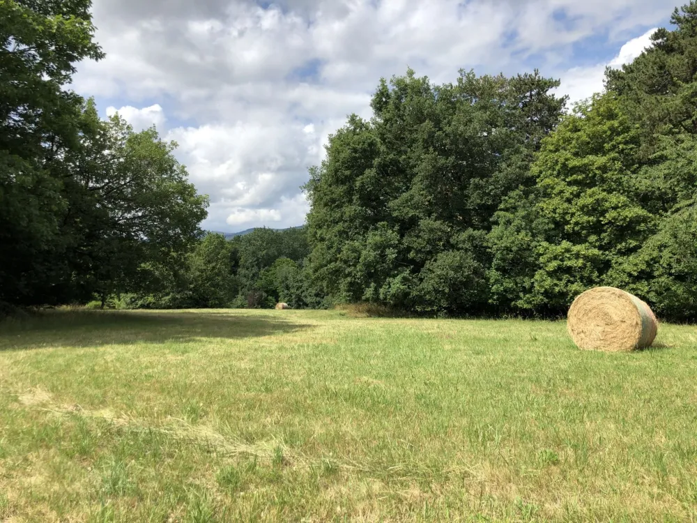 Image du terrain Terrain à bâtir de 400 m² à SAINT-JEAN-DE-THURIGNEUX (01)
