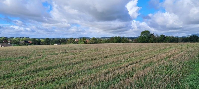 Image du modèle de maison phaffanslot