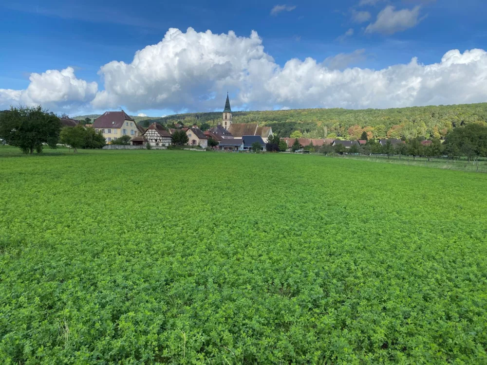 Image du modèle de maison RAEDERSDORF