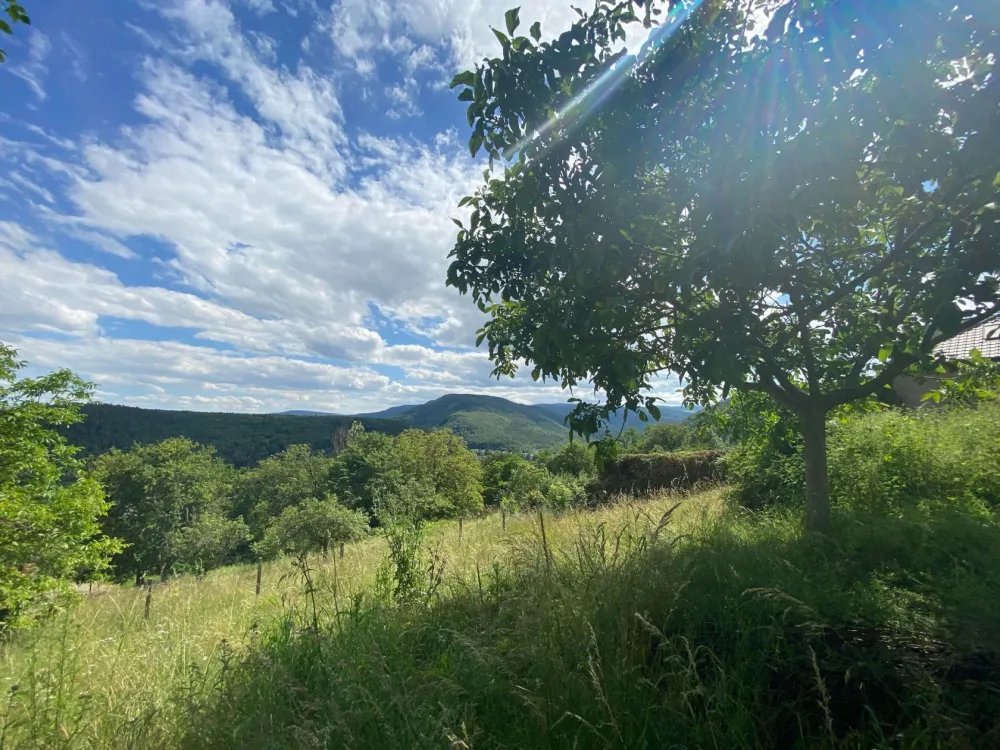 Image du modèle de maison 441930551_3337967153163800_5859868877372479122_n