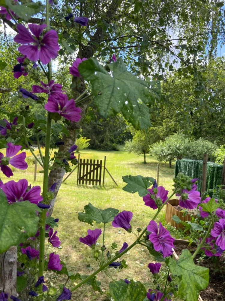 Image du modèle de maison 436733210_474949151755564_4705905136029599791_n