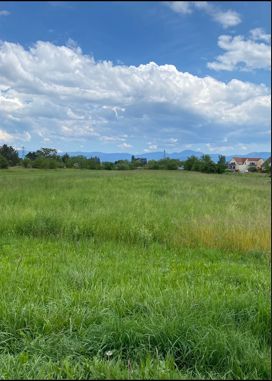 Image du terrain Terrain à bâtir de 470 m² à BLODELSHEIM (68)
