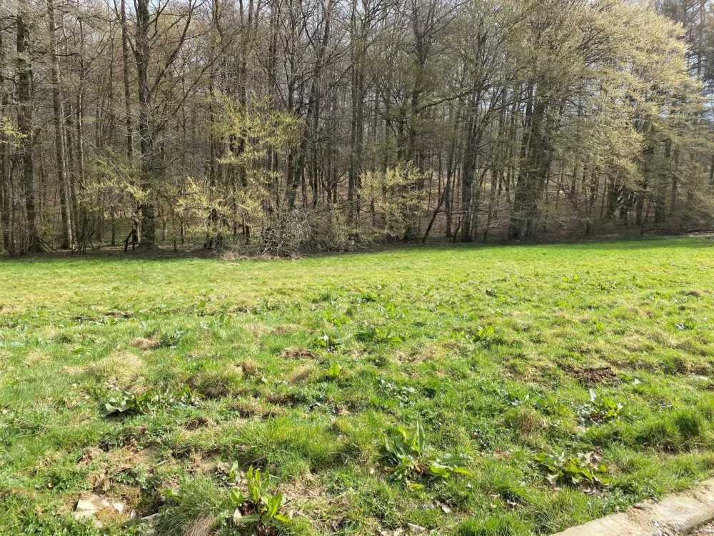 Image du modèle de maison Seppois le Bas lot 18
