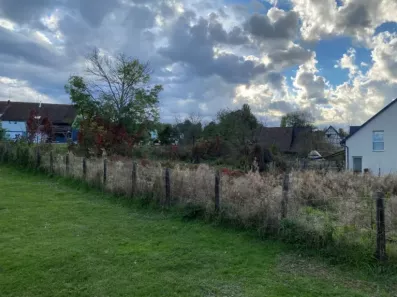 Image du modèle de maison JETTINGEN OCT 24