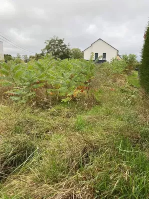 Image du modèle de maison Rixheim