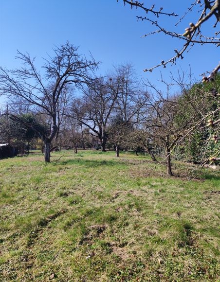 Image du terrain Terrain à bâtir de 710 m² à DUPPIGHEIM (67)