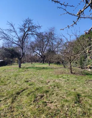 Image du modèle de maison duppi 1