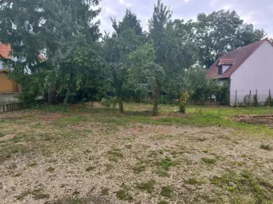 Image du modèle de maison 1000019330