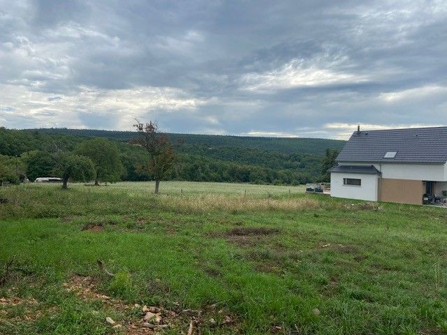 Image du modèle de maison Osenbach 2