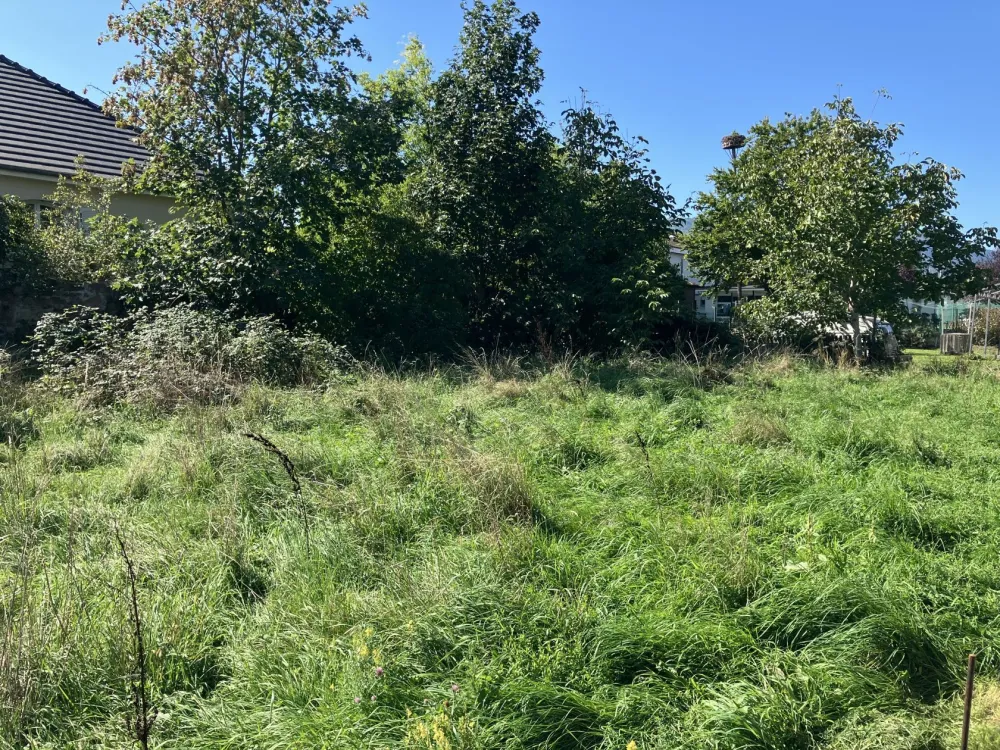 Image du modèle de maison IMG_0159