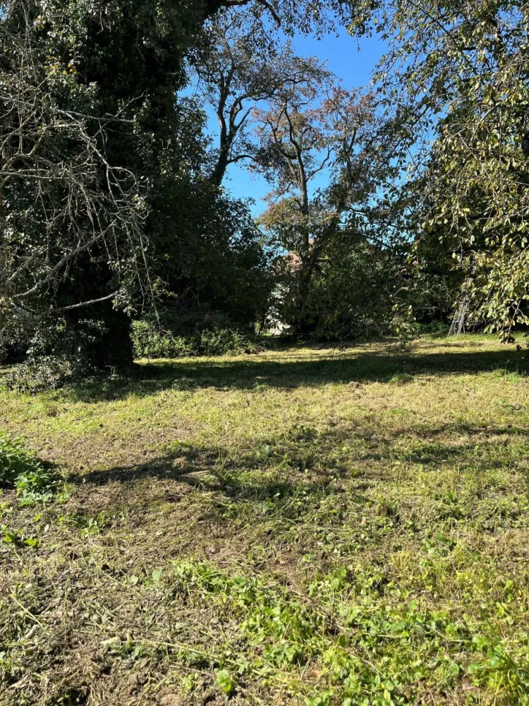 Image du modèle de maison SPECHBACH LE HT NK