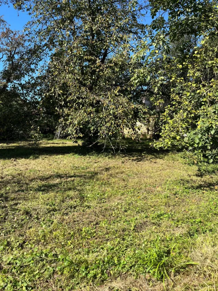 Image du modèle de maison SPECHBACH LE HT NK 2