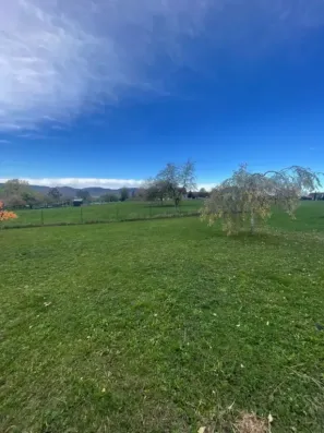 Image du modèle de maison Schwenheim 2