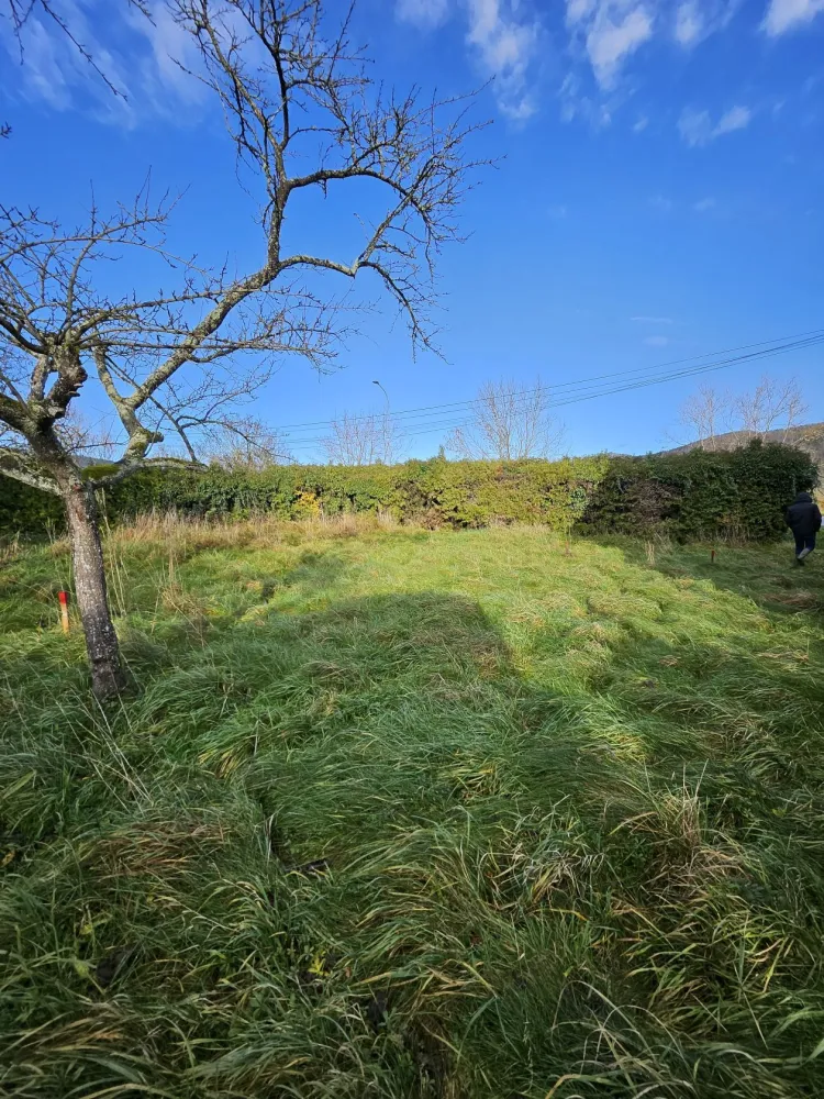 Image du modèle de maison 20251117_103608