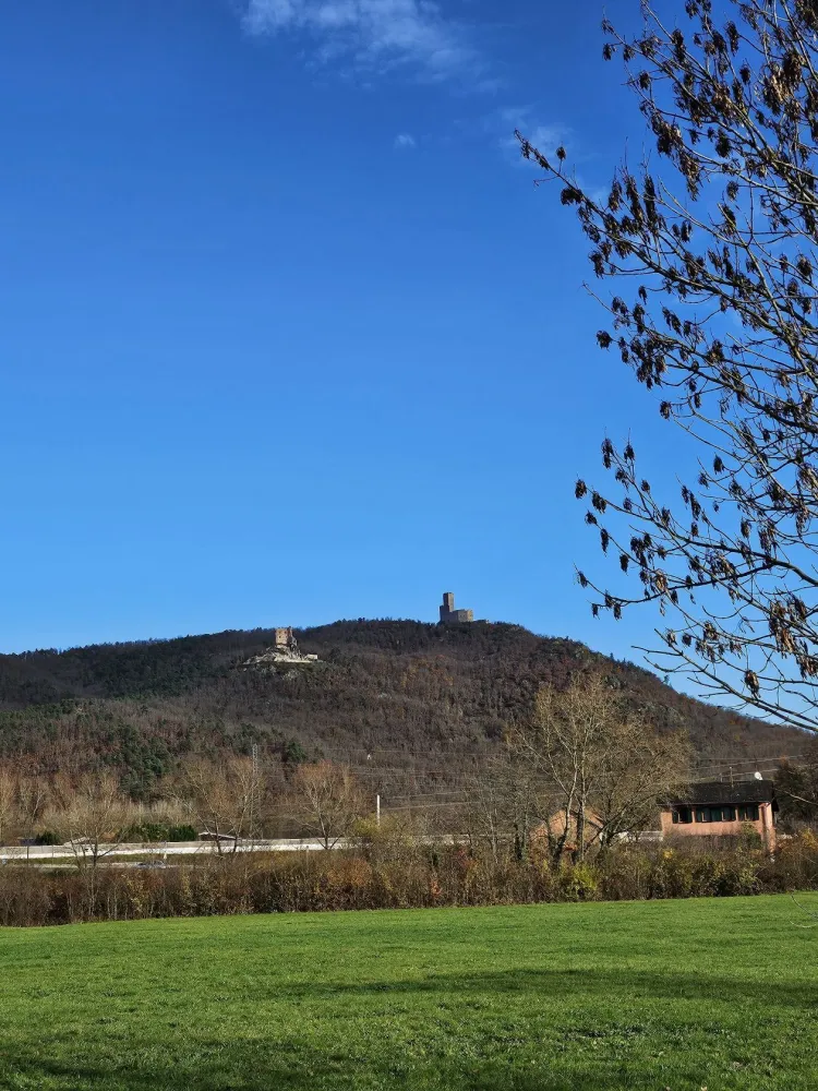 Image du modèle de maison 20251117_104708