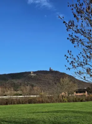 Image du modèle de maison 20251117_104708