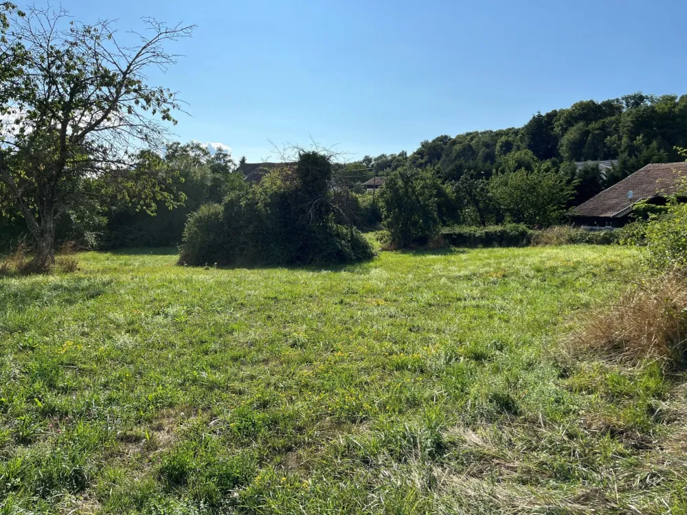 Image du modèle de maison TRAUBACH LE HAUT 2