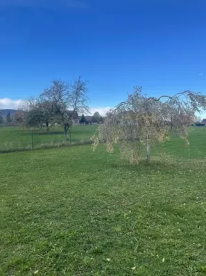Image du modèle de maison Schwenheim