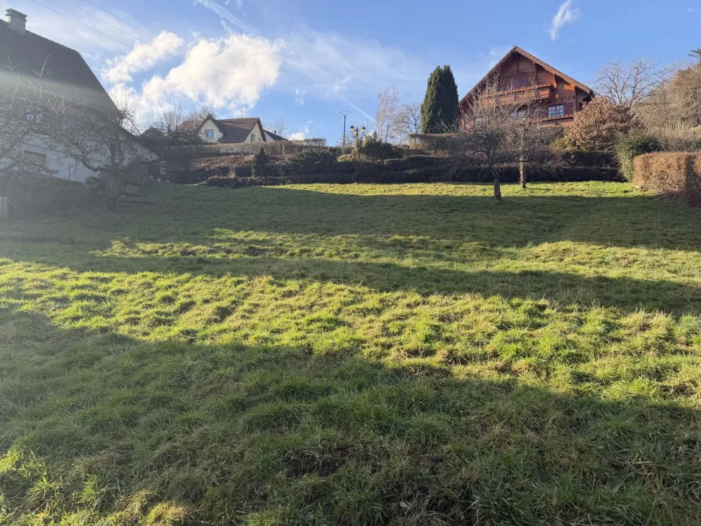 Image du modèle de maison IMG_5124