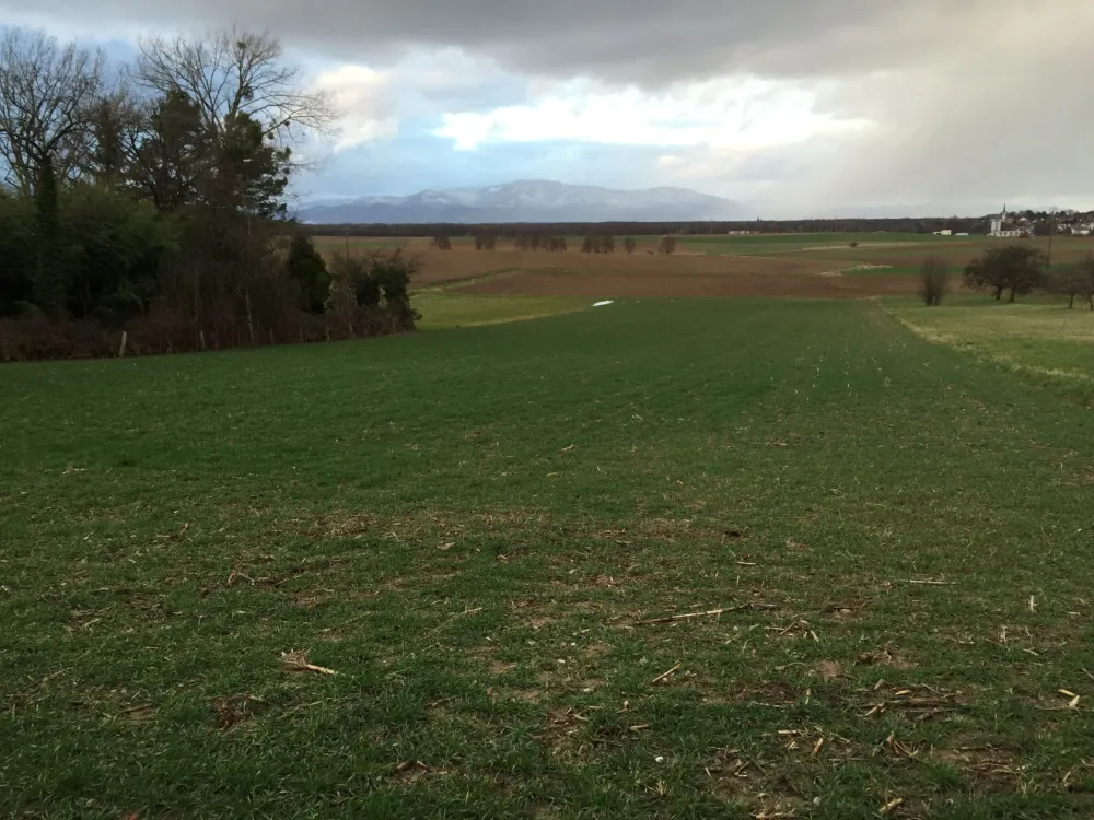 Image du modèle de maison galfingue-1