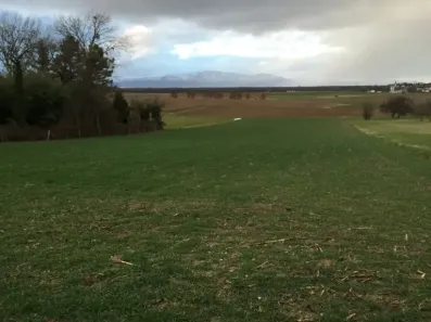 Image du modèle de maison galfingue-1