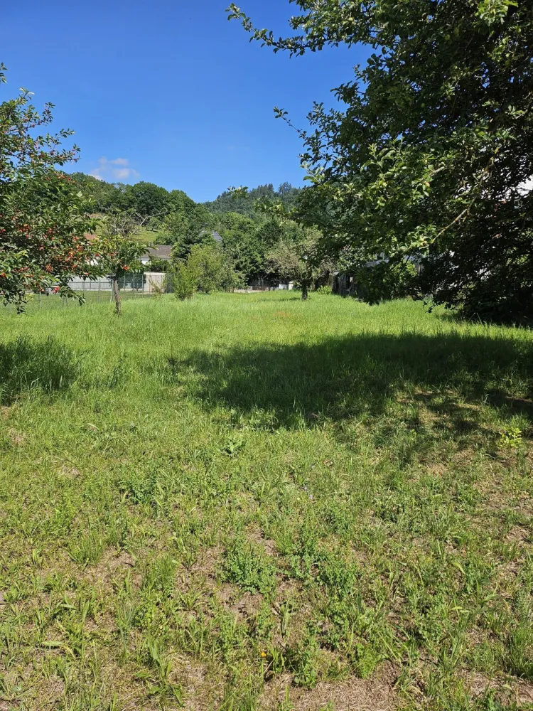 Image du modèle de maison 20250611_112119