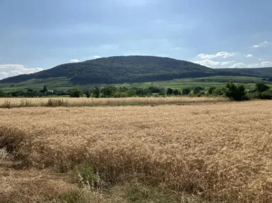 Image du modèle de maison IMG_0060